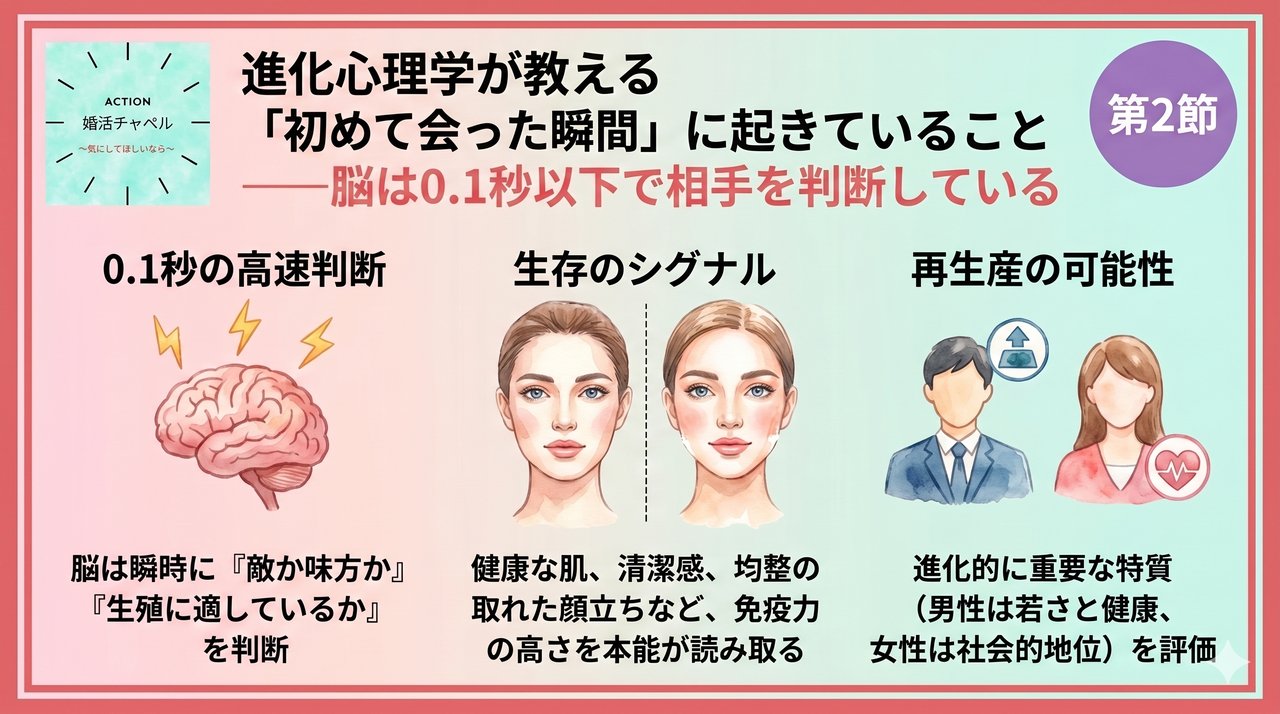 進化心理学が教える初めて会った瞬間に起きていること インフォグラフィック