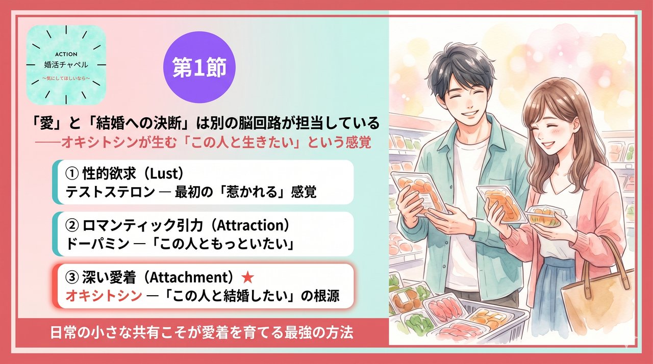 愛と結婚決断の脳回路の違い インフォグラフィック