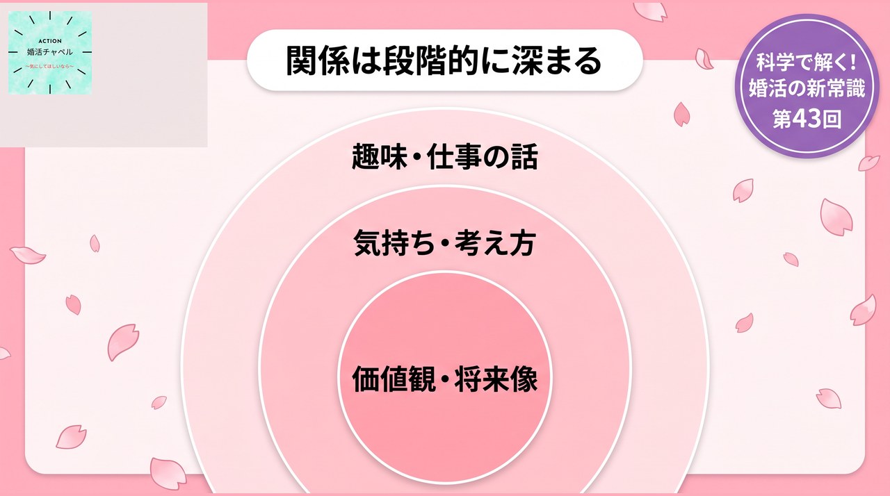 社会的浸透理論 関係は玉ねぎの層のように段階的に深まる